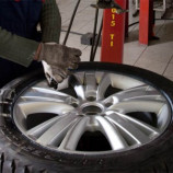 Автосервис Миля Моторс