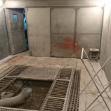 Автосервис Буцефал